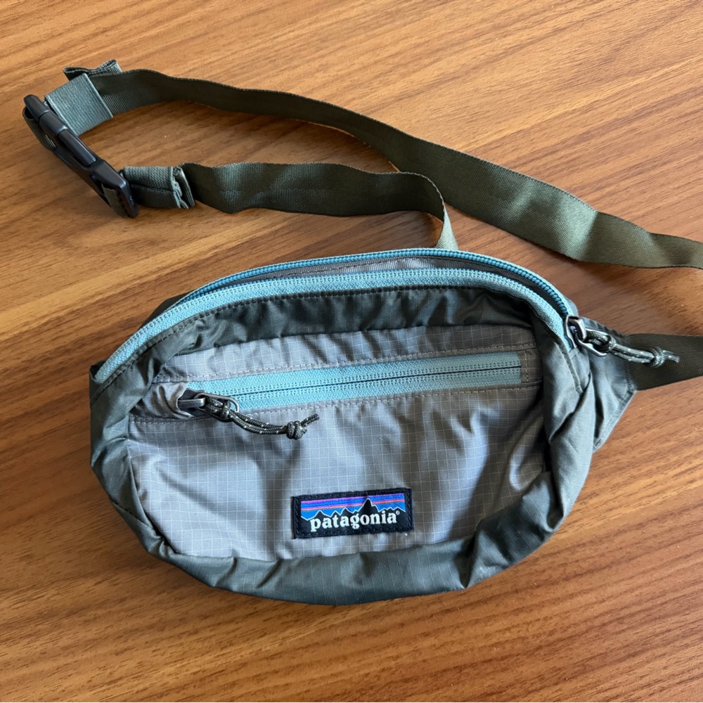 Patagonia Waist Pack